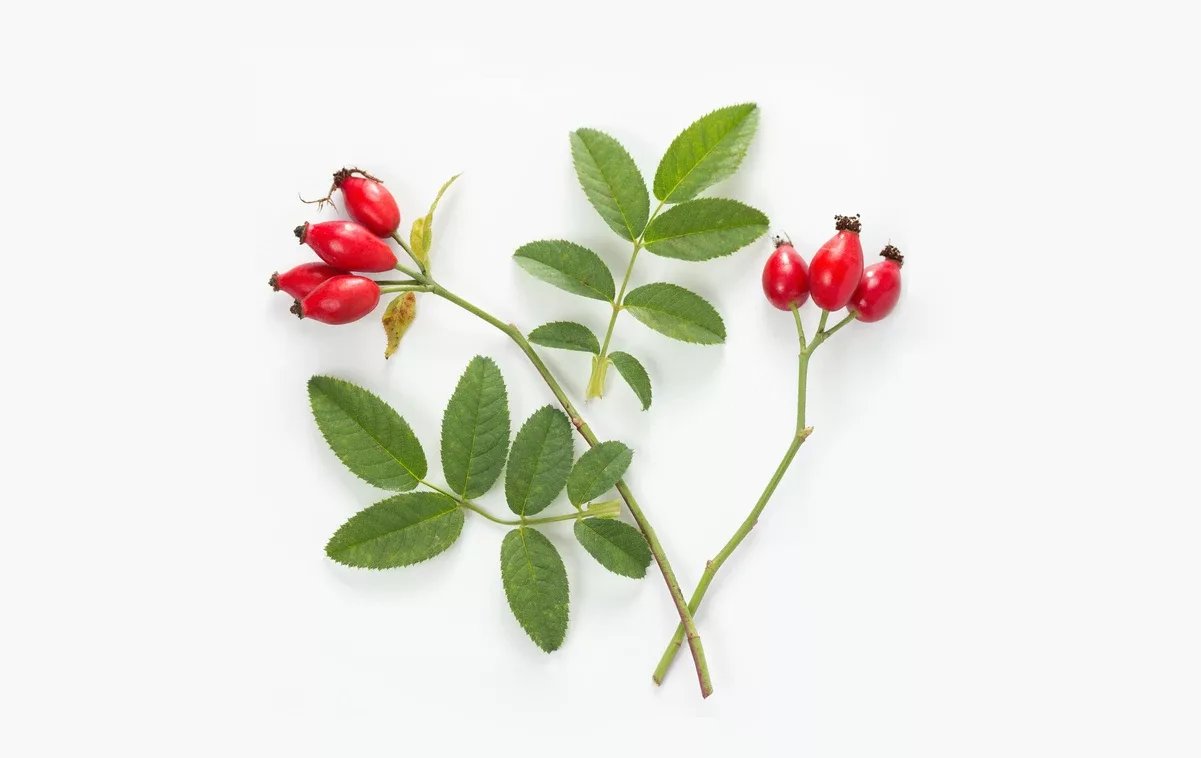 Shutterstock 157586759 wider crop