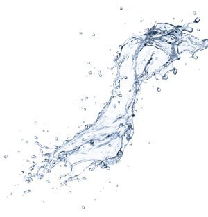 Splash Transparent web