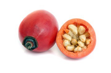 Rose hip half