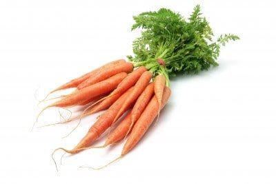 Carrots stock image