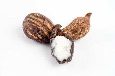 Shea butter stock image
