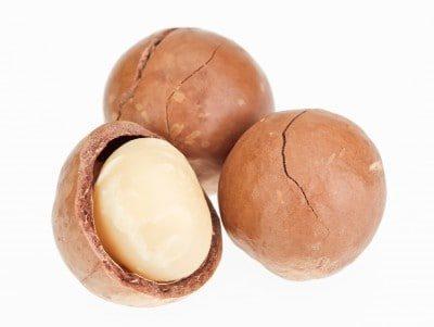 Macadamia nuts stock image