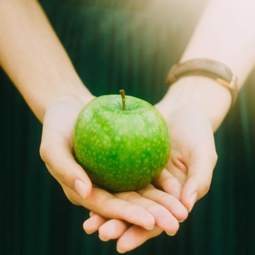 Jony ariadi Q Zub8 Ni3x c unsplash scaled 500x500