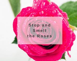 benefits of rose fragrance